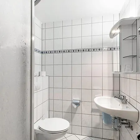 Pension Und Appartements Huttental 3*